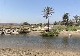 Paraje de la ermita dels Peixets, en Alboraia.