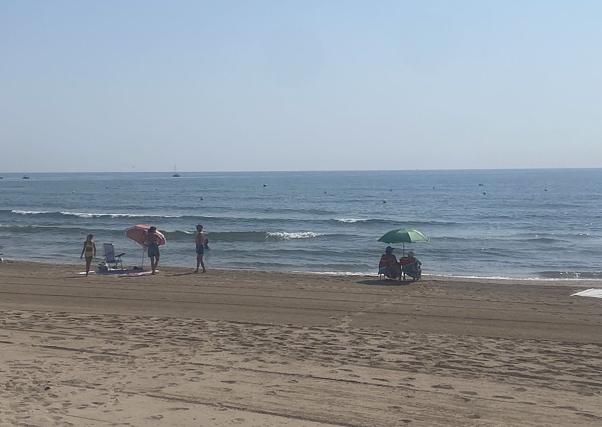 Imagen secundaria 1 - Playa de Meliana, junto a la acequia de San Vicente; Port Saplaya norte sin casi bañistas y playa canina.