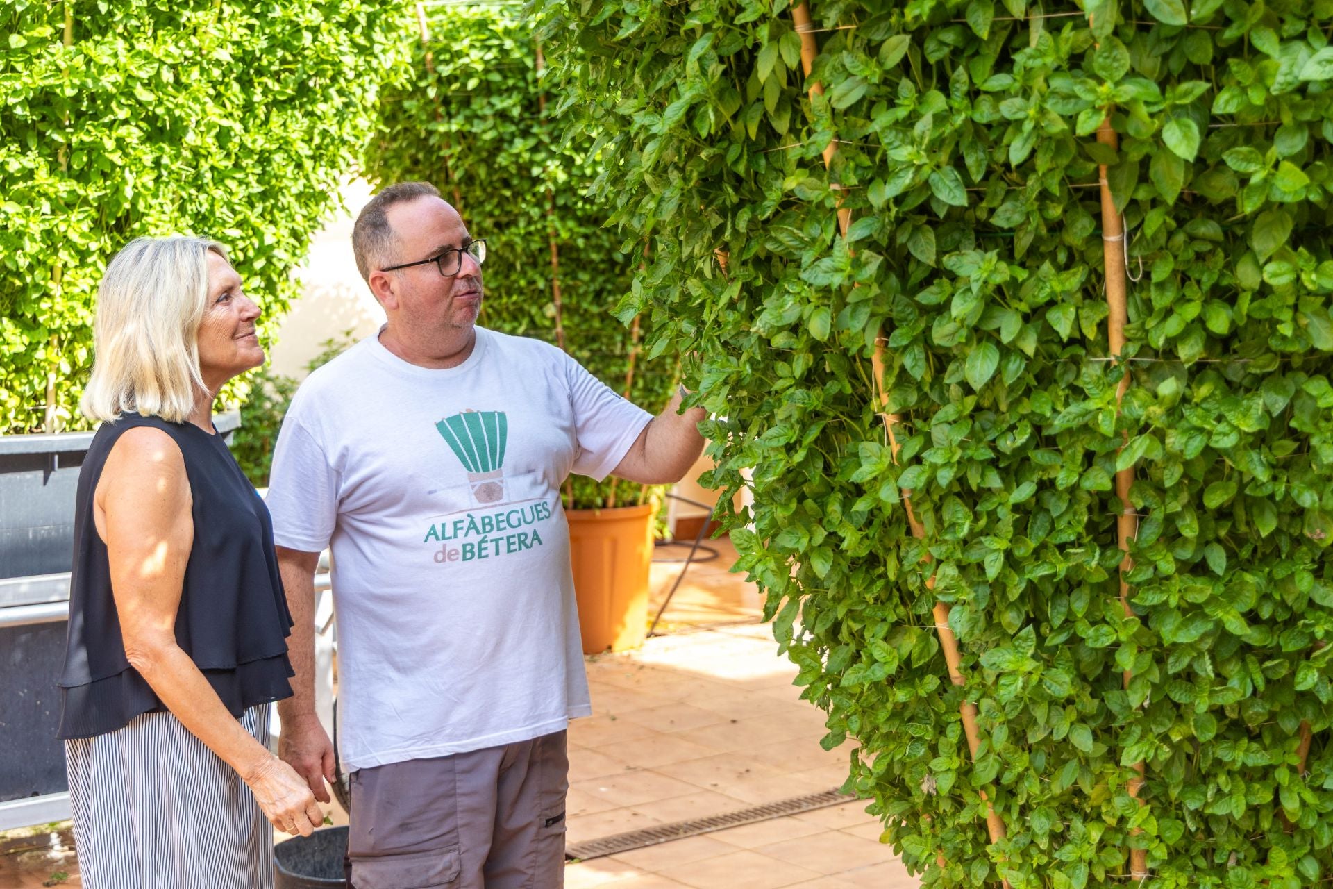 Fotos | La fiesta de les alfabegues en Bétera