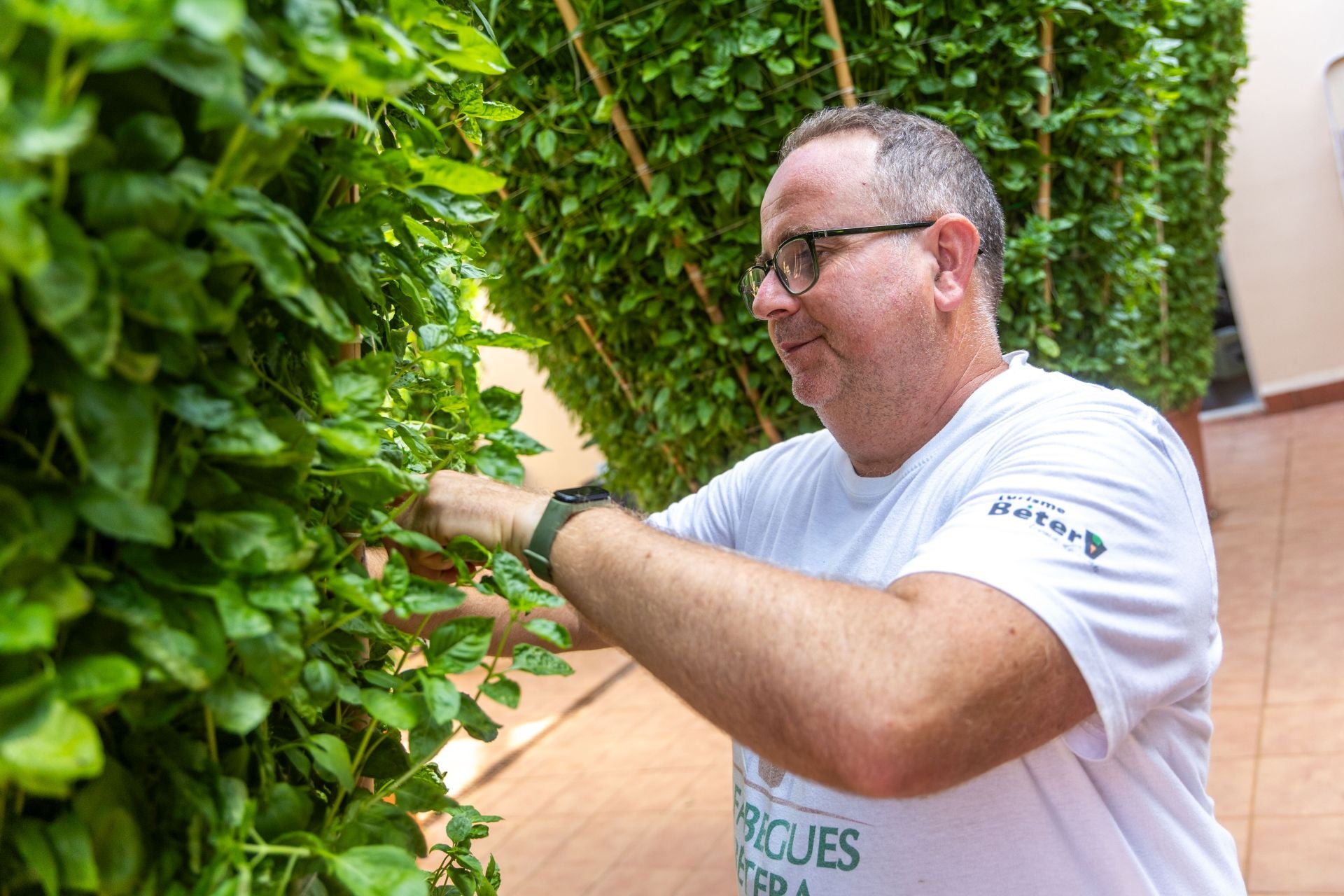 Fotos | La fiesta de les alfabegues en Bétera