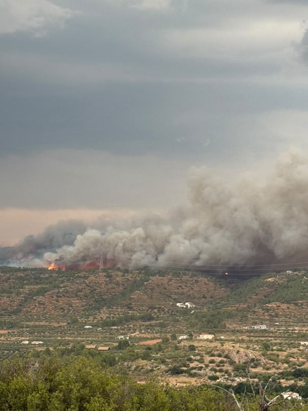 FOTOS | Incendio forestal en Teresa de Cofrentes