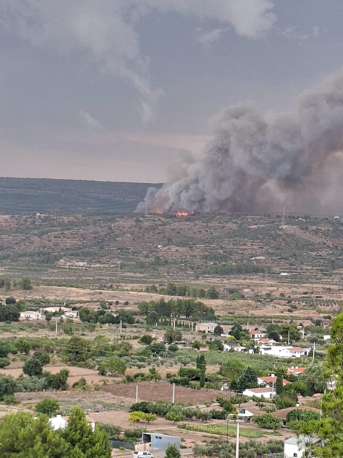 FOTOS | Incendio forestal en Teresa de Cofrentes