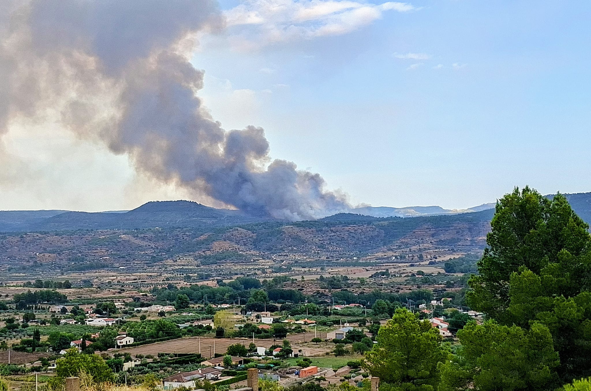 FOTOS | Incendio forestal en Teresa de Cofrentes