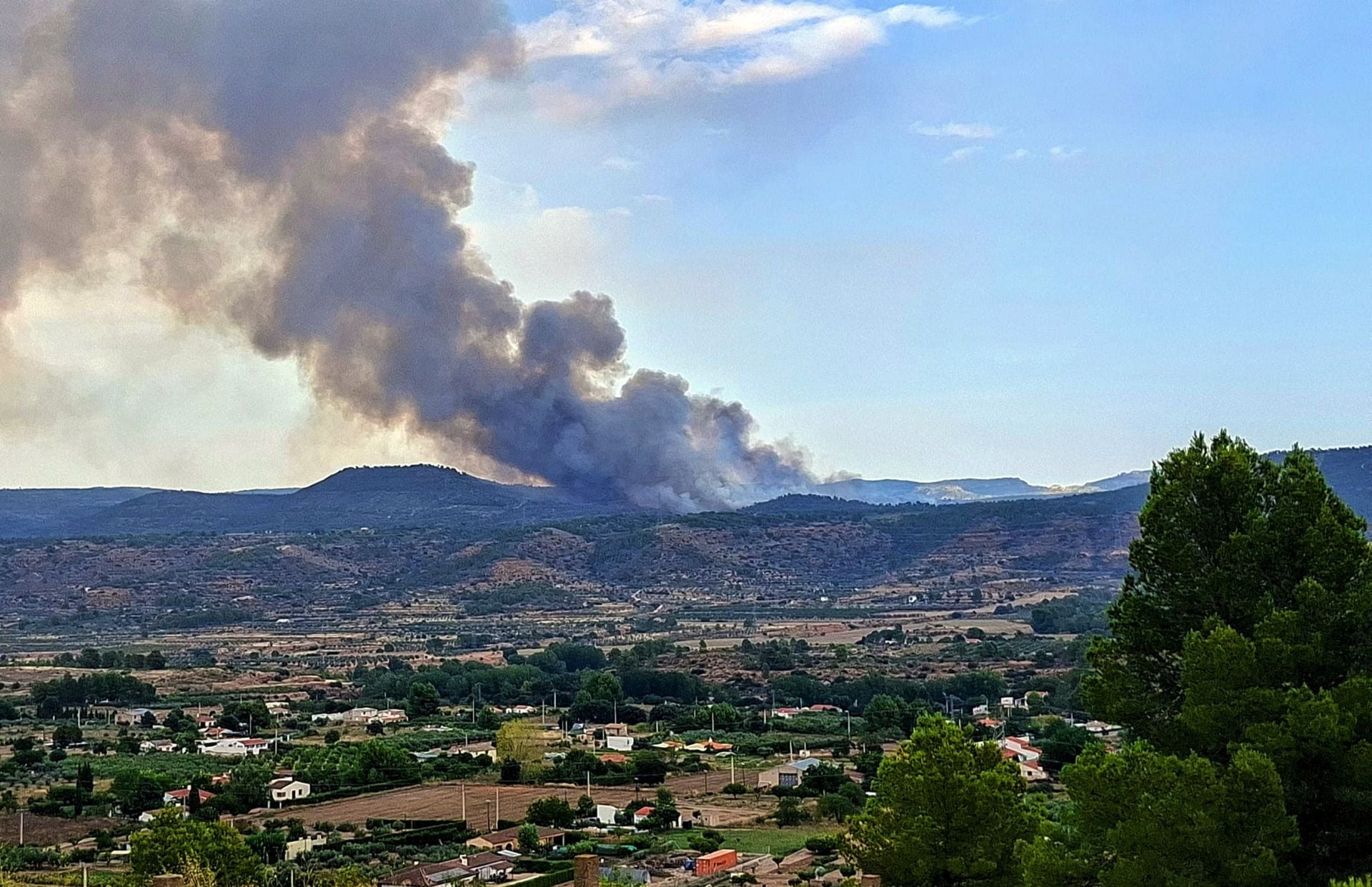 El incendio de Teresa de Cofrentes, en imágenes