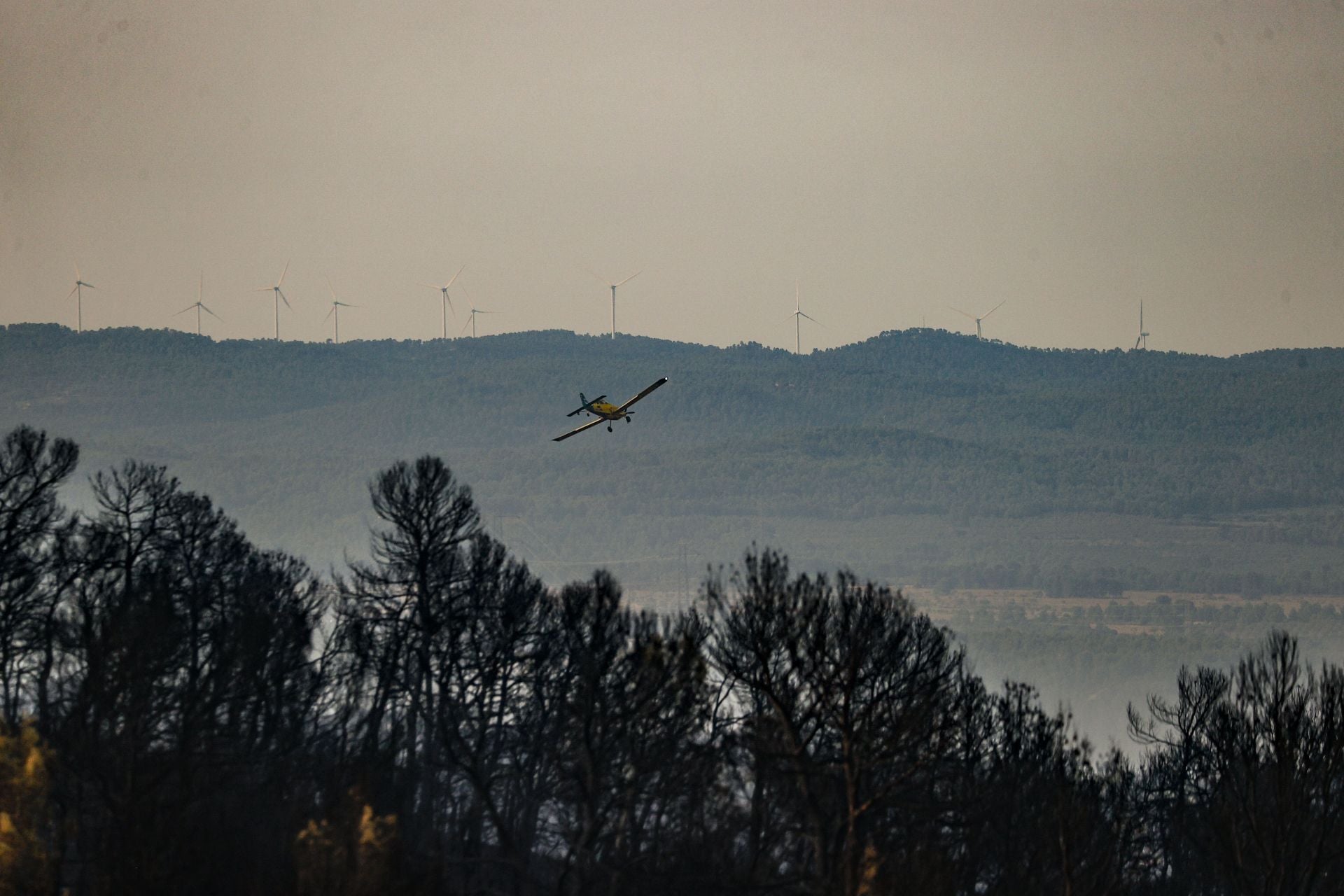 El incendio de Teresa de Cofrentes, en imágenes