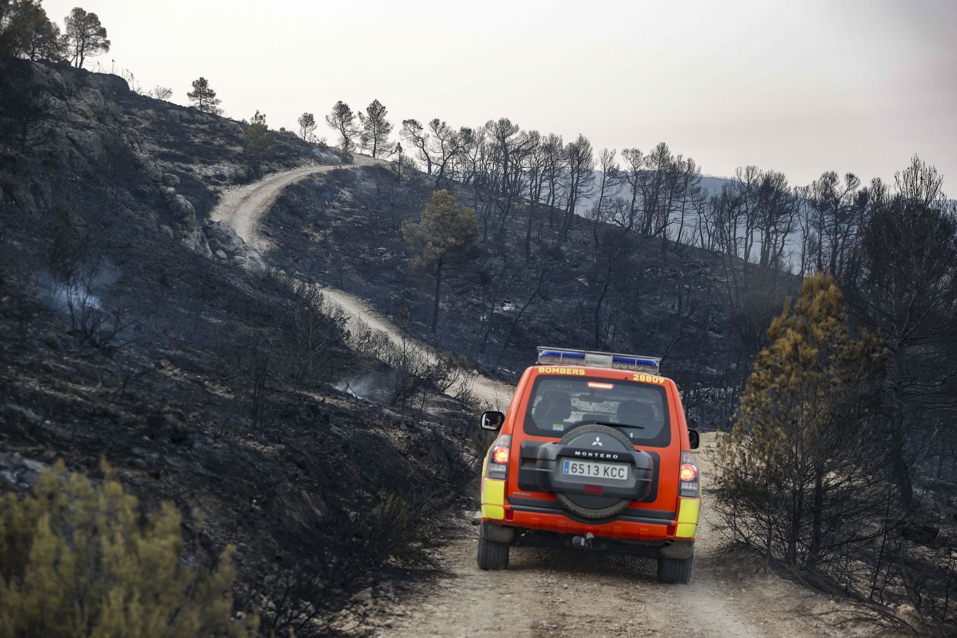 El incendio de Teresa de Cofrentes, en imágenes