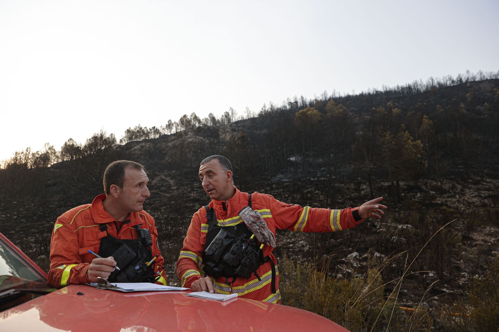 El incendio de Teresa de Cofrentes, en imágenes