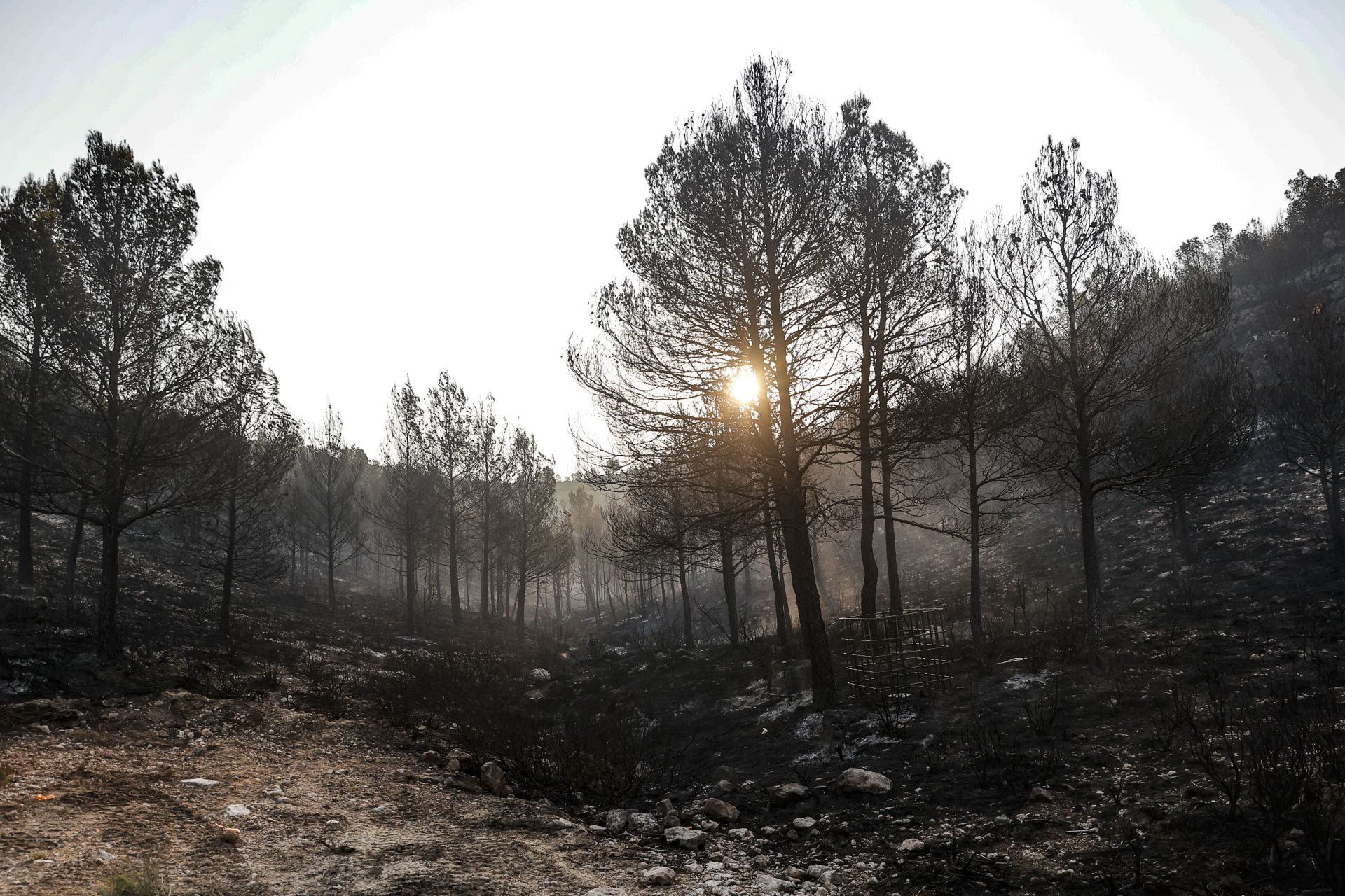 El incendio de Teresa de Cofrentes, en imágenes