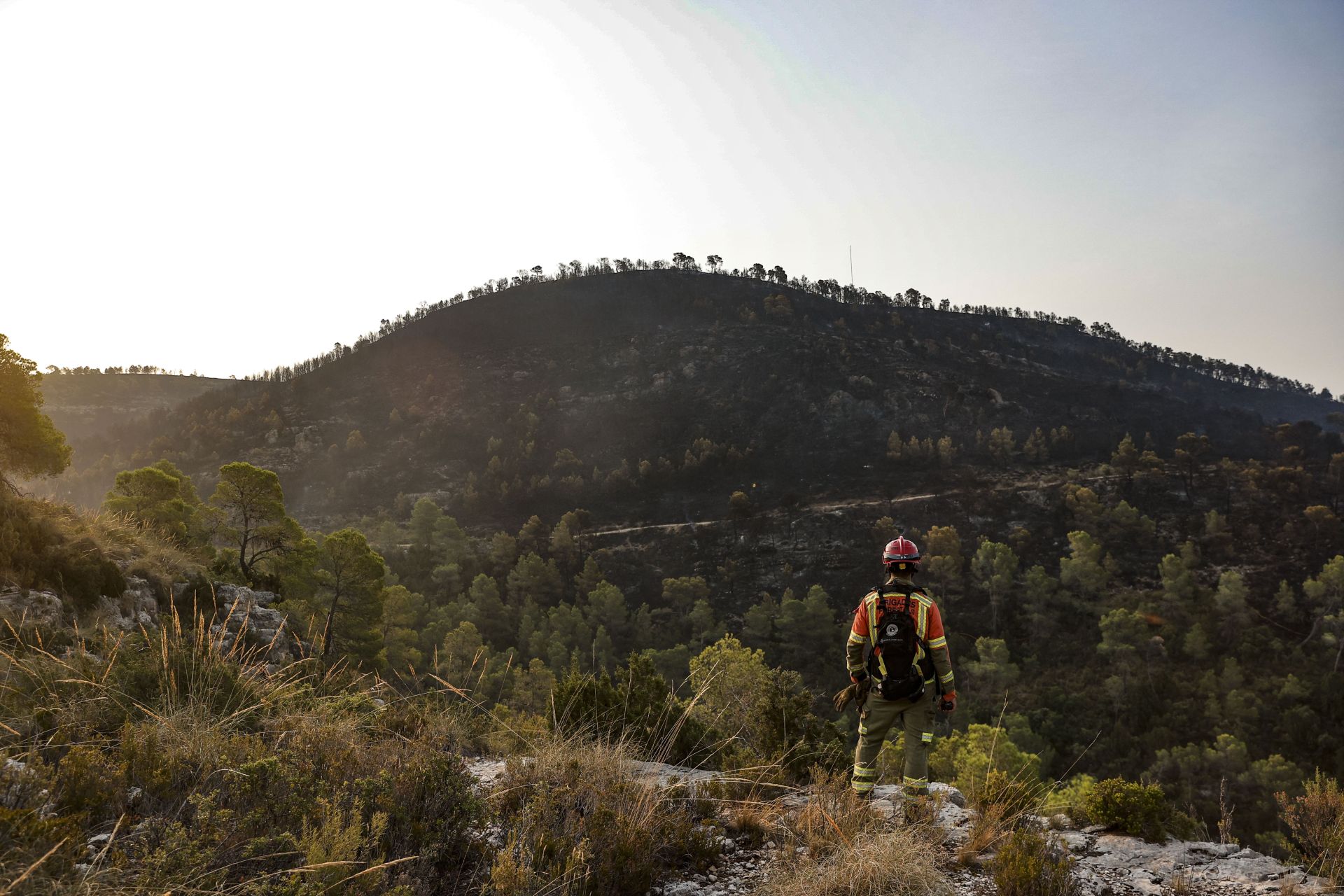 El incendio de Teresa de Cofrentes, en imágenes