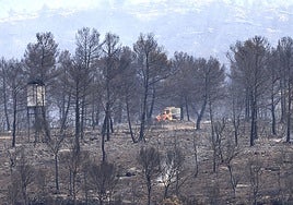 Situación en Teresa de Cofrentes.