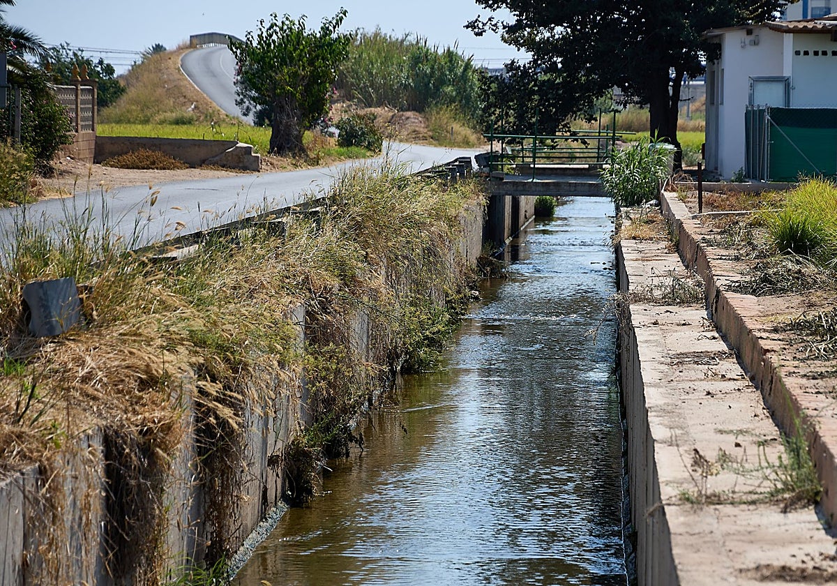 Un tramo de la acequia del Mar a su paso la zona rural de Alboraia.
