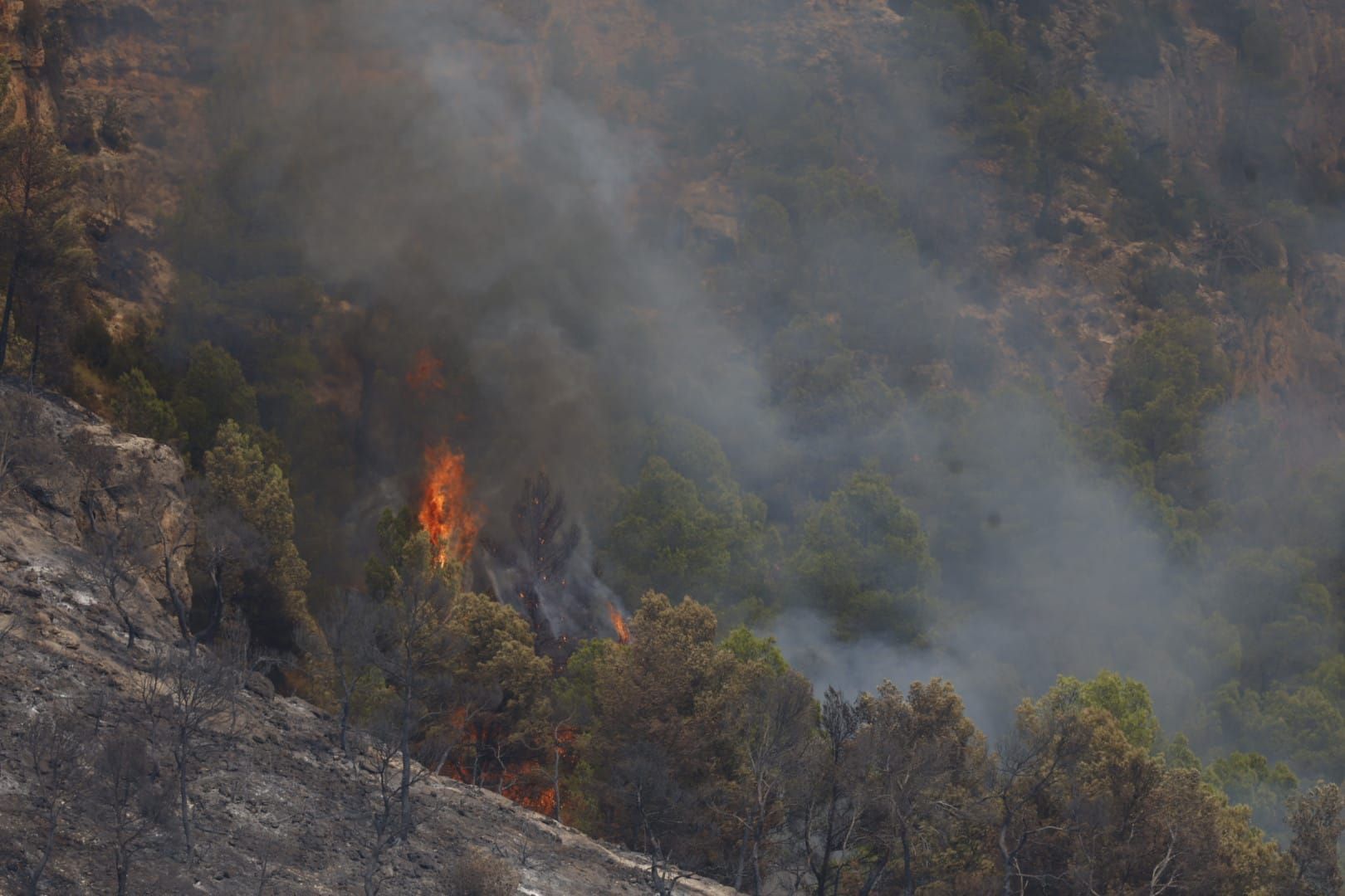 El incendio de Teresa de Cofrentes, en imágenes