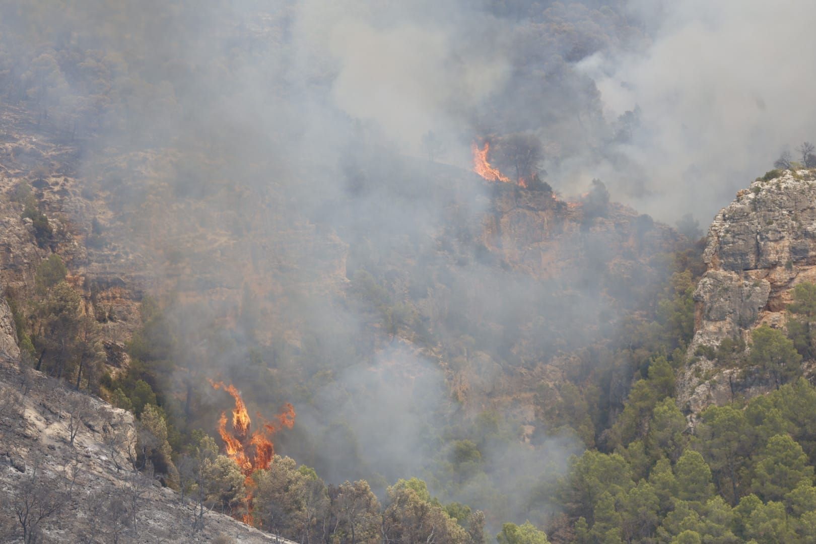 El incendio de Teresa de Cofrentes, en imágenes
