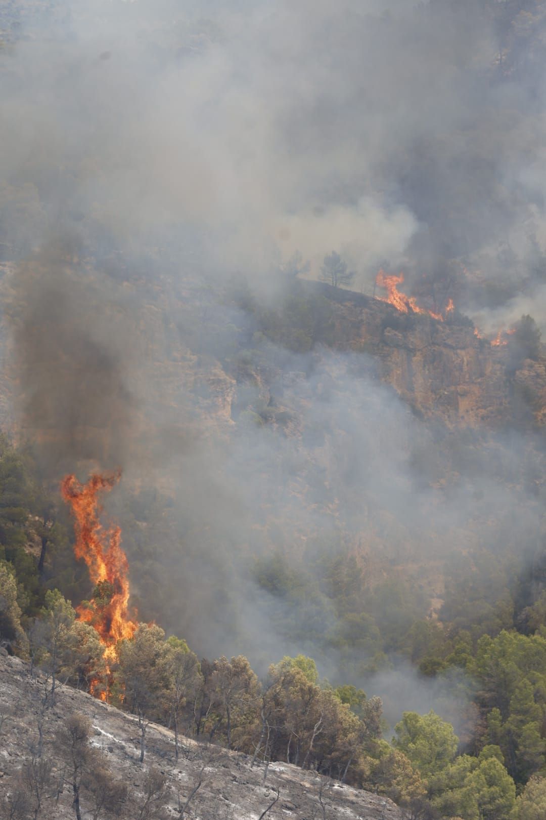 El incendio de Teresa de Cofrentes, en imágenes