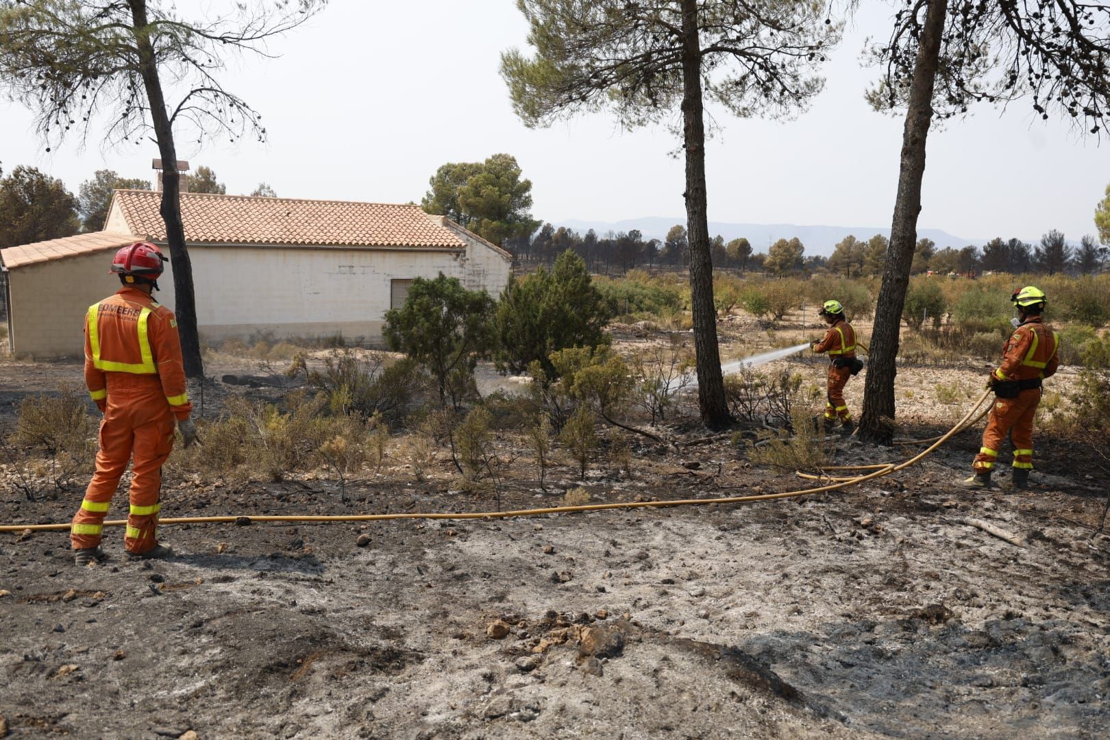 El incendio de Teresa de Cofrentes, en imágenes