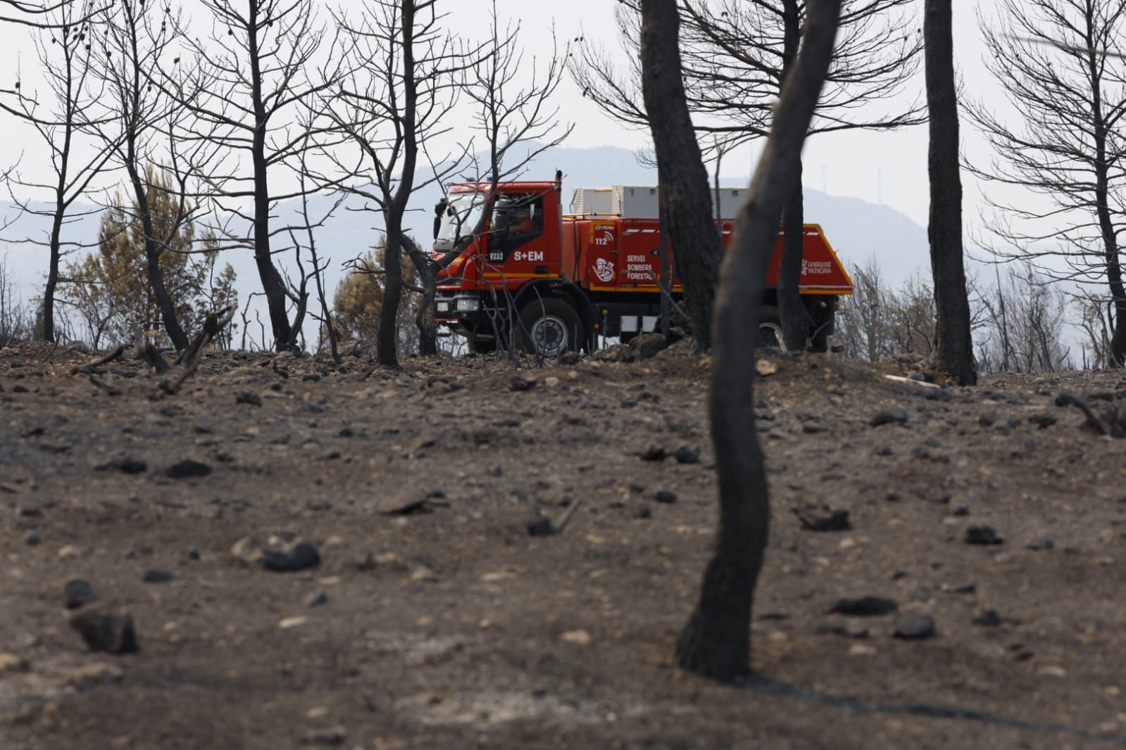 FOTOS | Incendio forestal en Teresa de Cofrentes