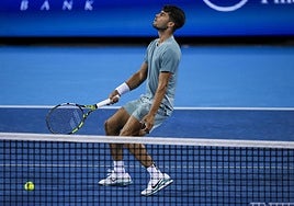 Alcaraz, en su partido ante Nardi.