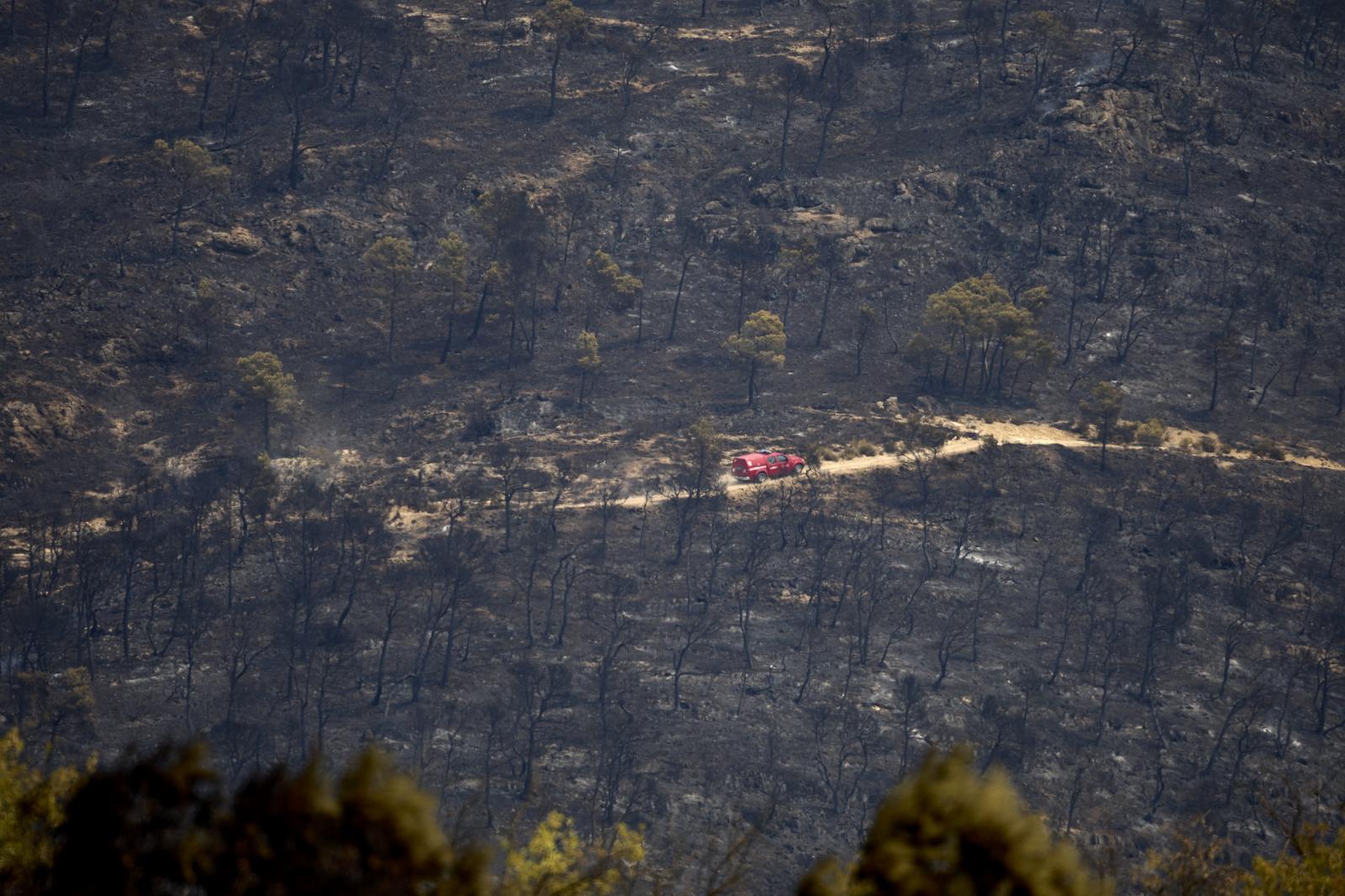 Zona afectadas por el incendio.