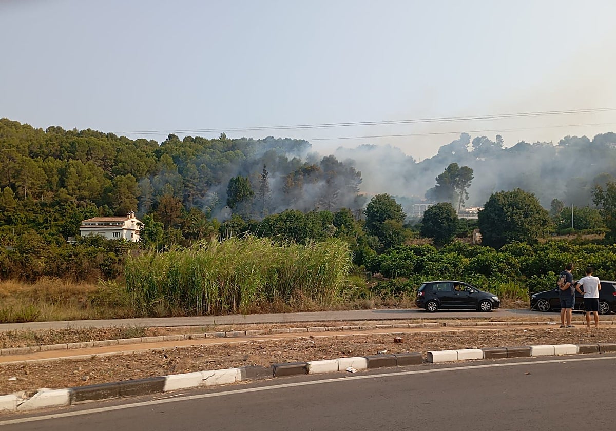 Columna de humo vista desde la carretera.