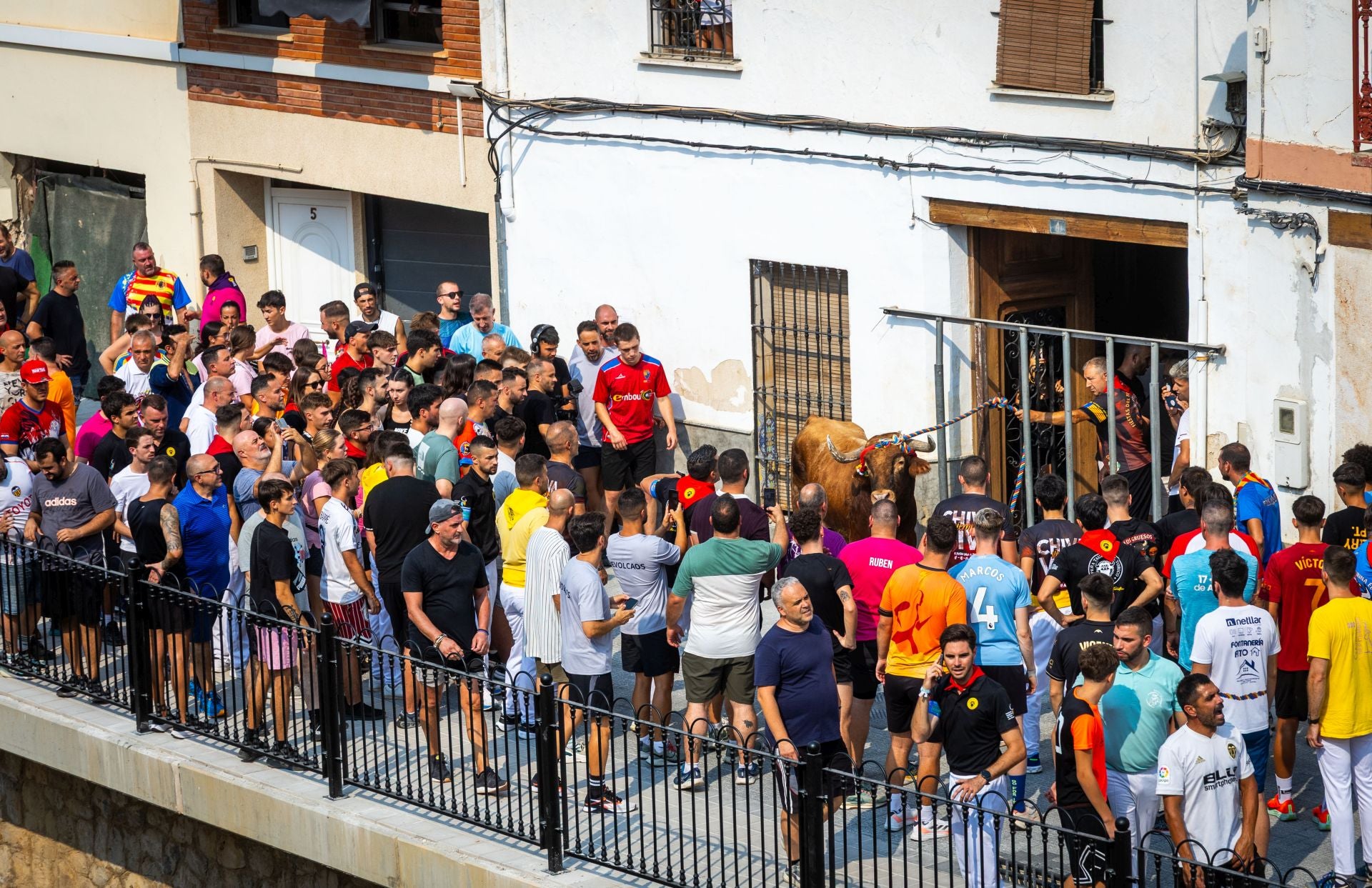 El Torico ya corre por las calles de Chiva como bálsamo contra la dana