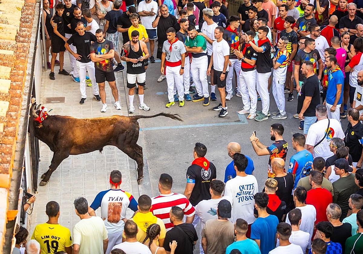 El Torico ya corre por las calles de Chiva como bálsamo contra la dana