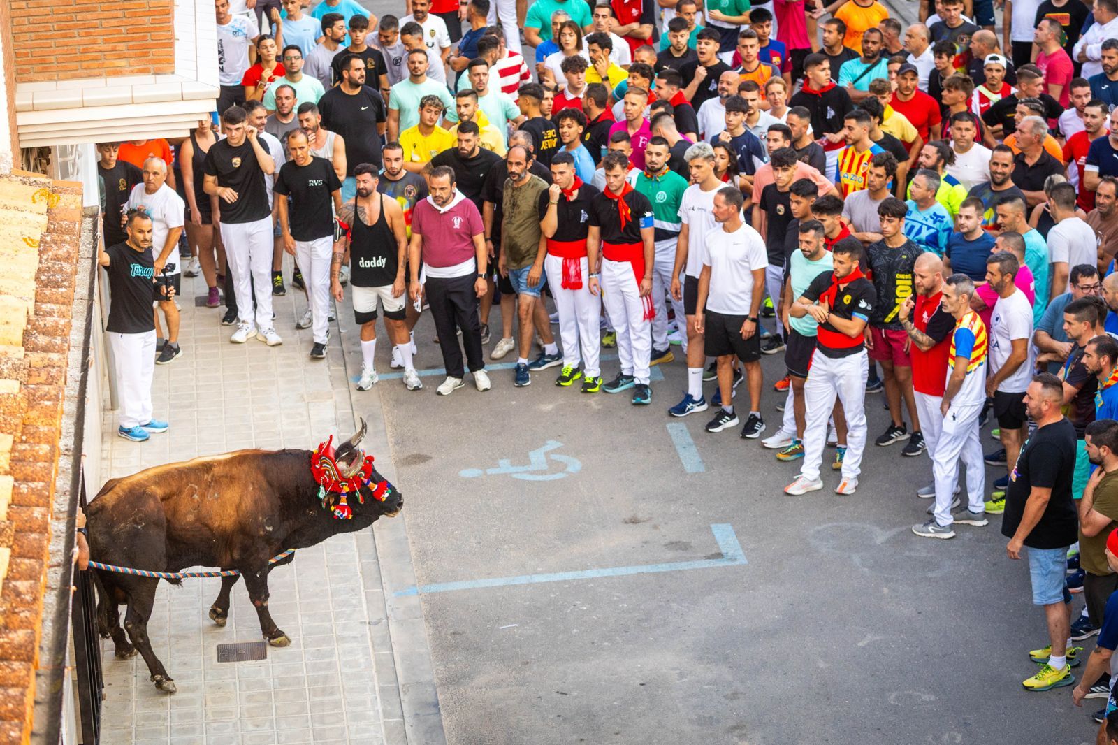 El Torico ya corre por las calles de Chiva como bálsamo contra la dana