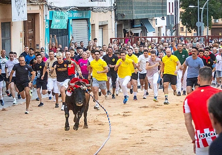 El Torico corre por las calles de Chiva.