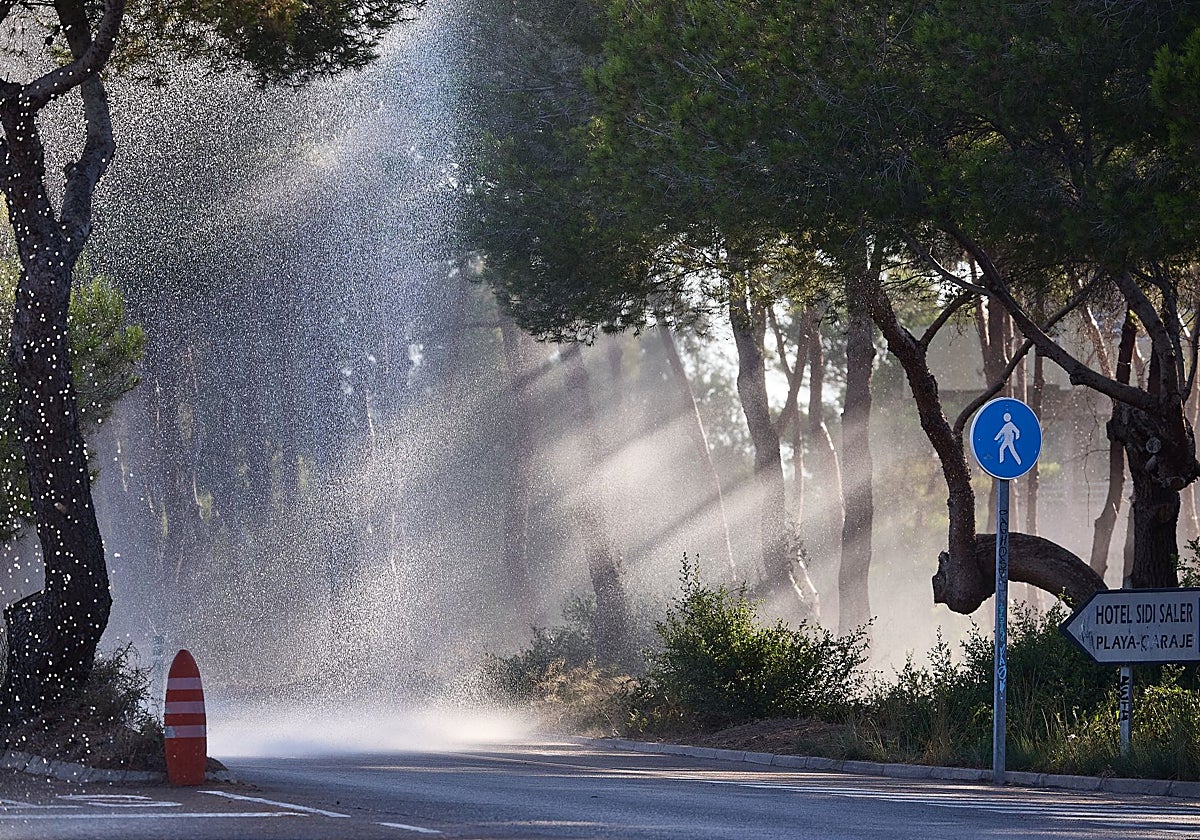 Los cañones del Saler rocían la Devesa.