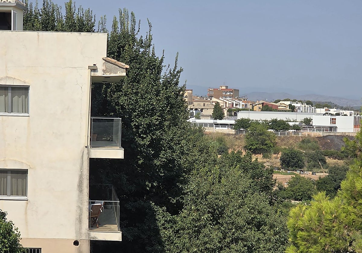 La maleza invade viviendas en Riba-roja.