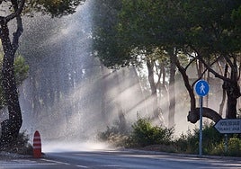 Los cañones del Saler rocían la Devesa.