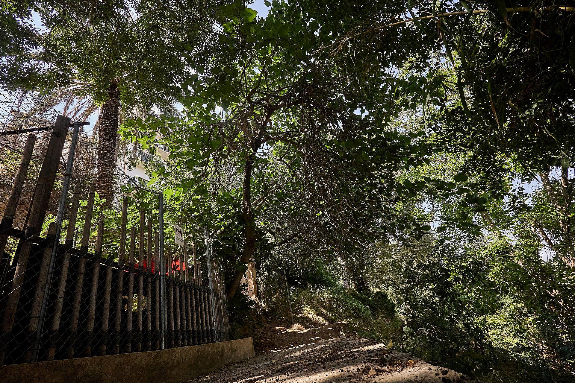 La maleza que invade las viviendas en Riba-roja