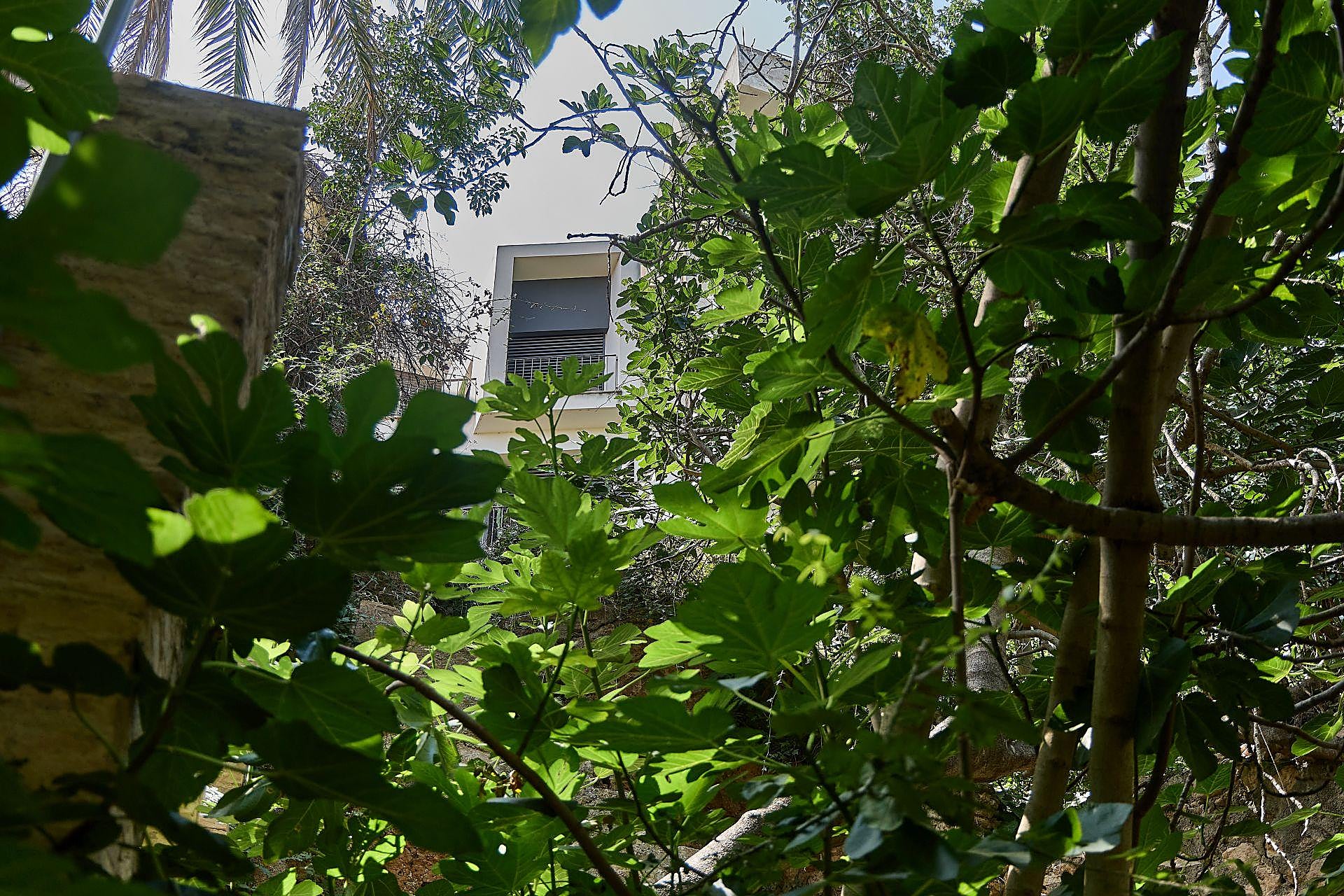 La maleza que invade las viviendas en Riba-roja