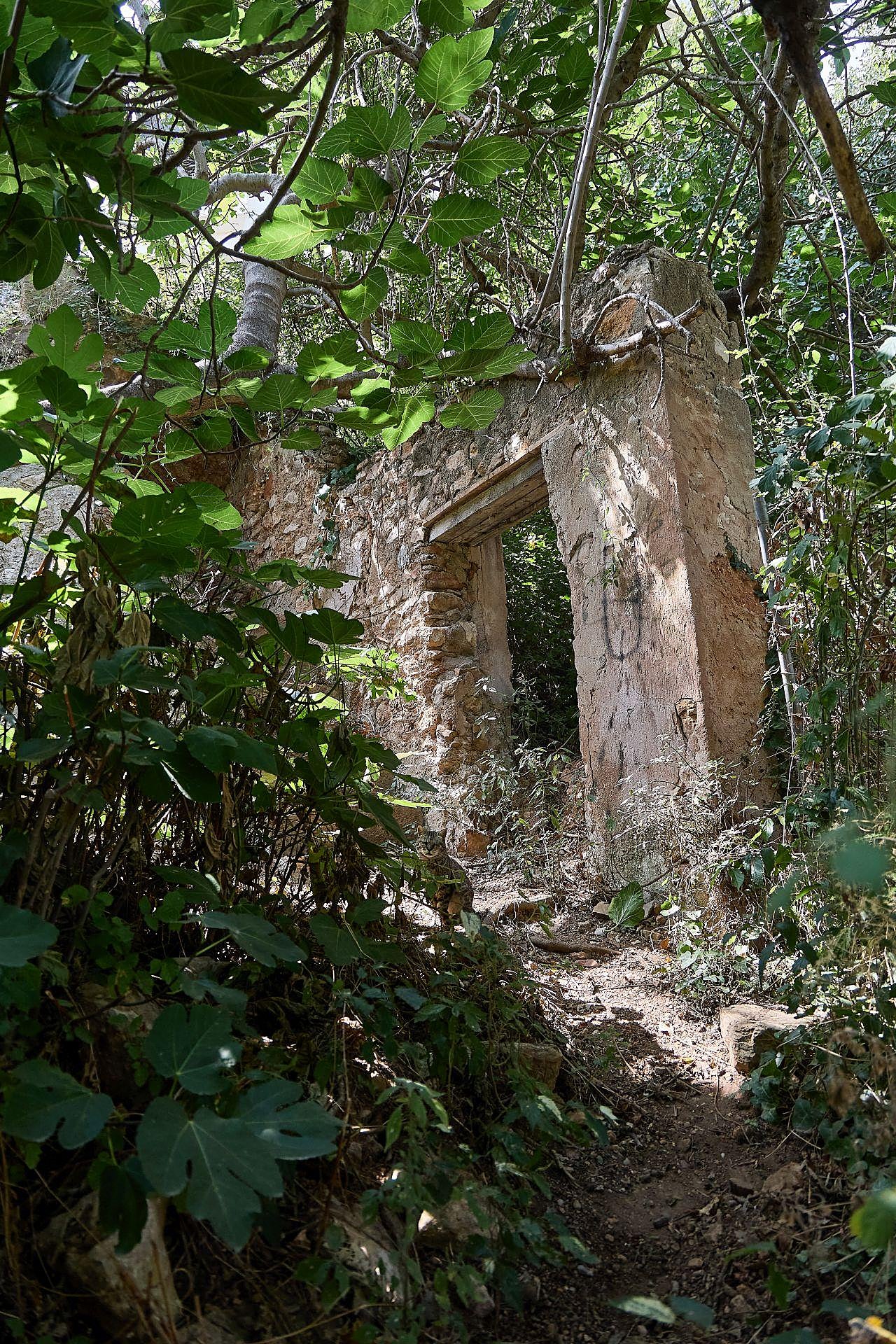 La maleza que invade las viviendas en Riba-roja