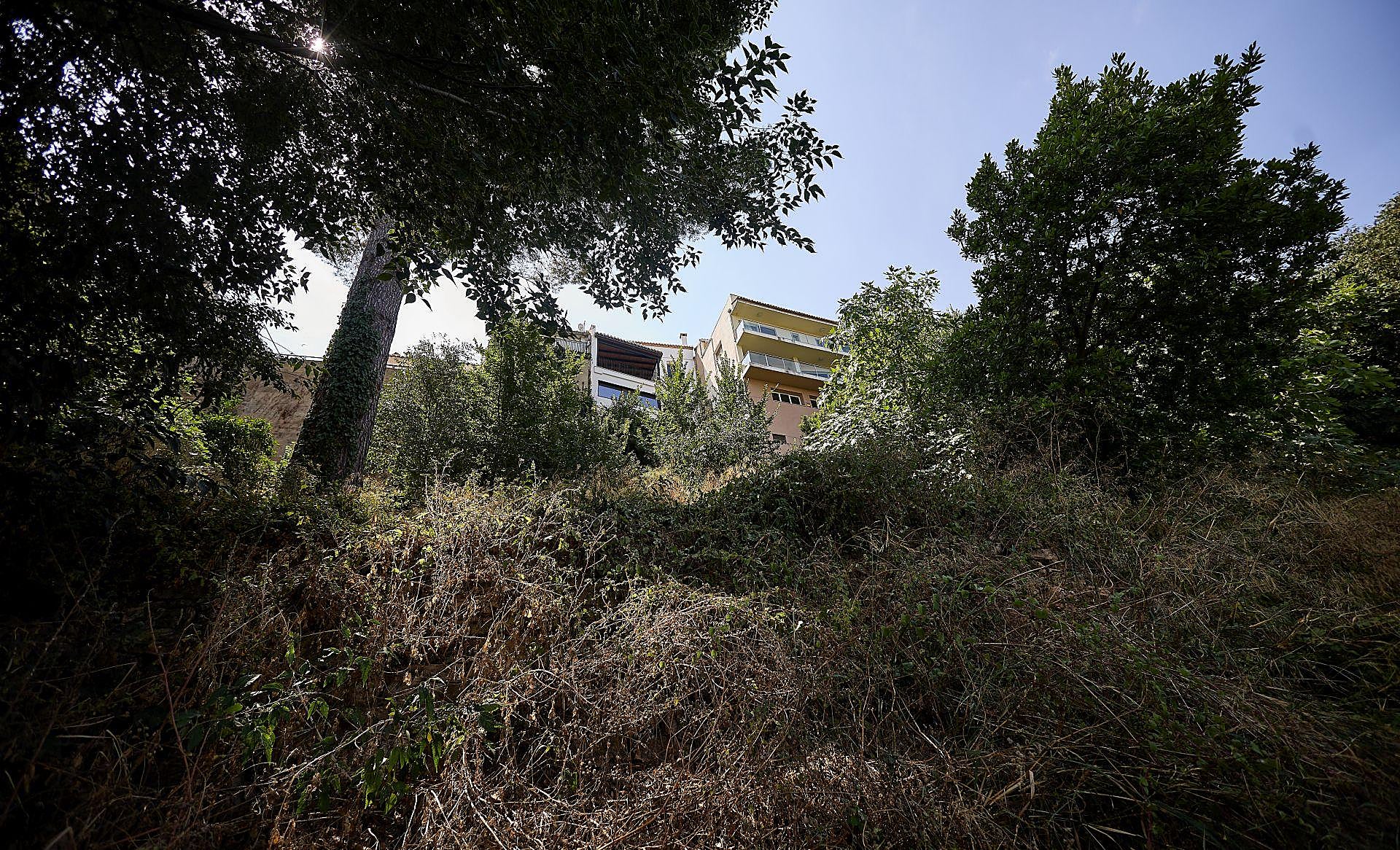 La maleza que invade las viviendas en Riba-roja