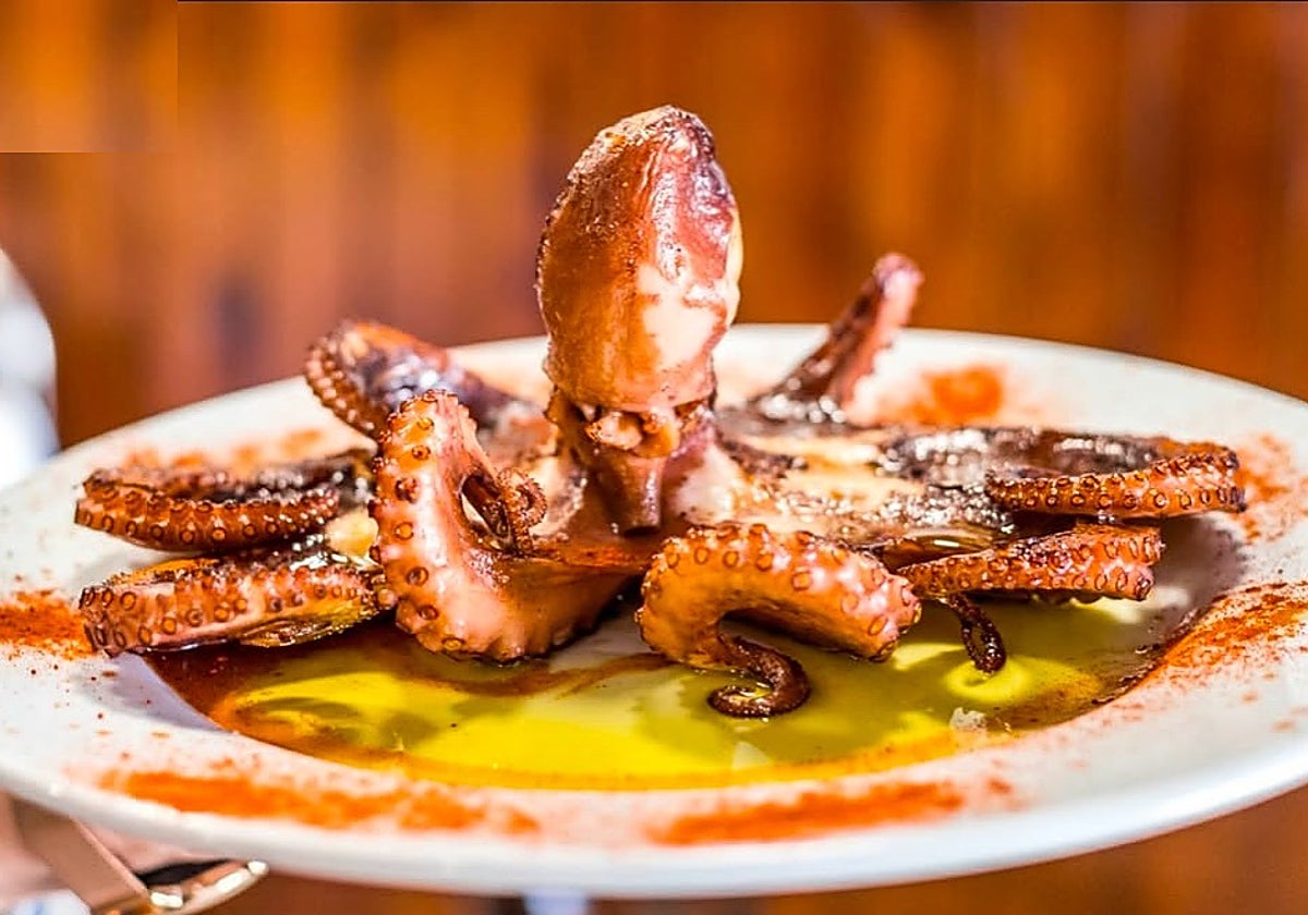 Pulpo sentado de Casa Lola.