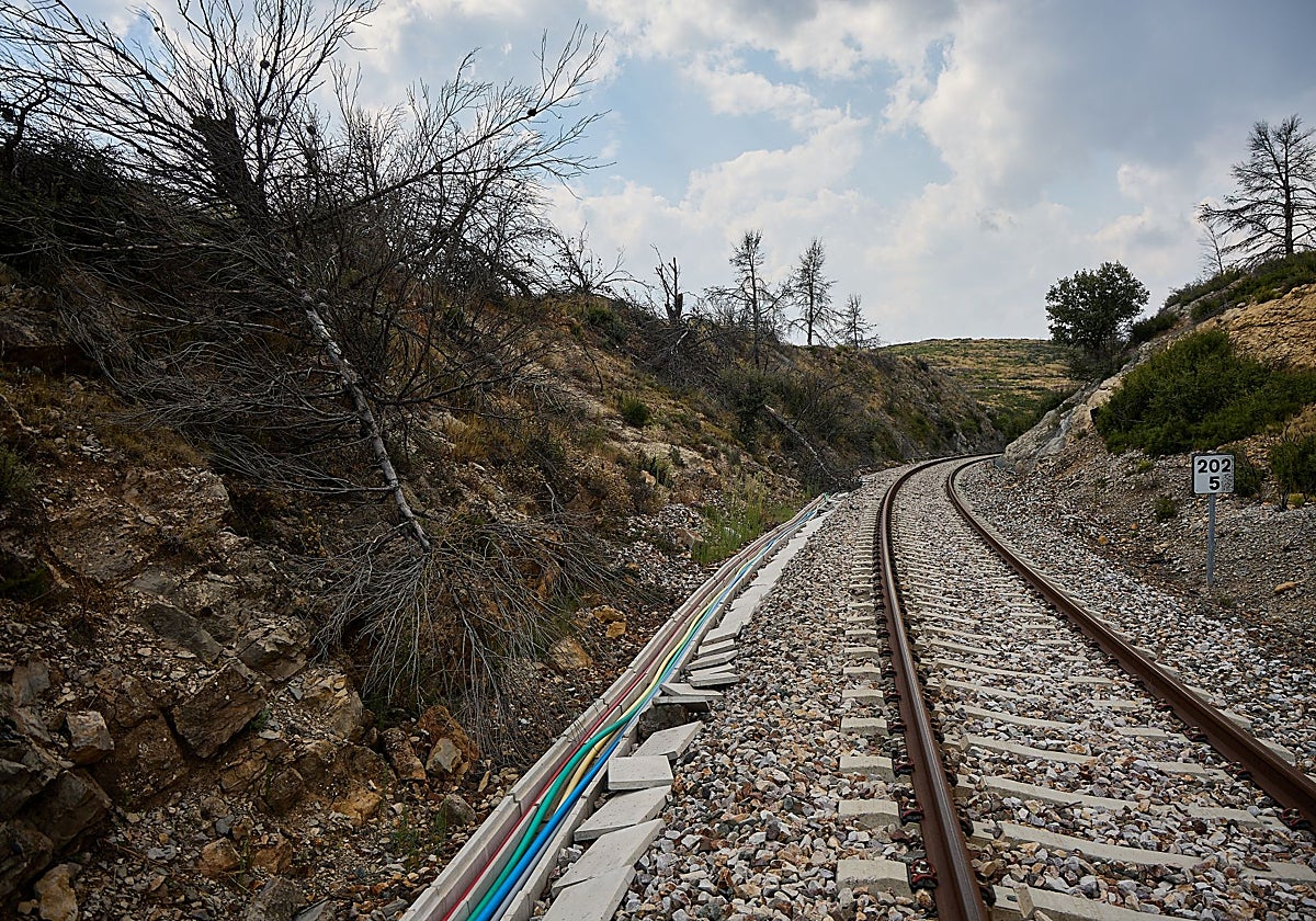 Así está hoy la zona en la que el tren con destino a Zaragoza se vio envuelto por las llamas.
