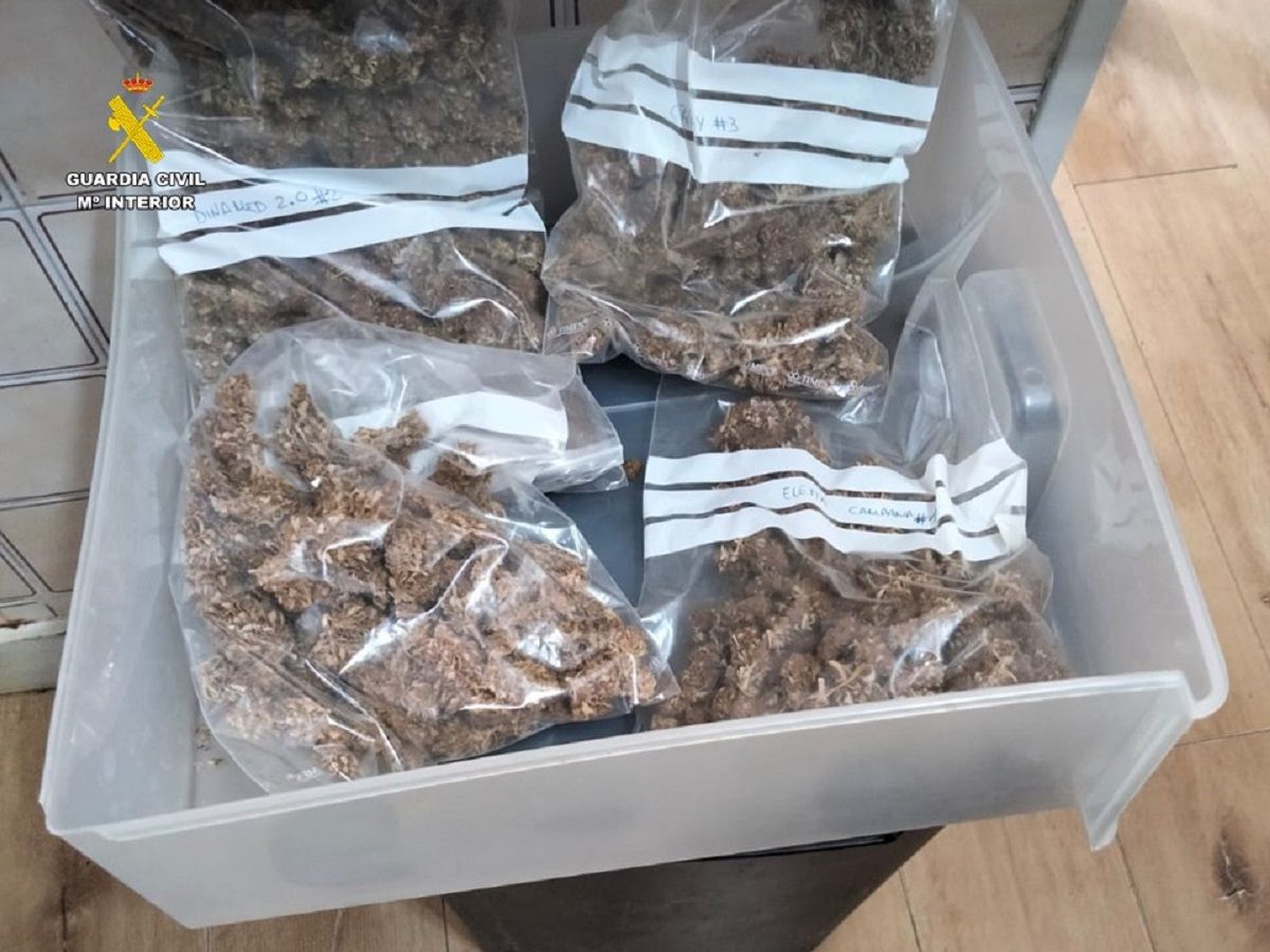 Bolsas de plástico etiquetadas con distintos tipos de cannabis.