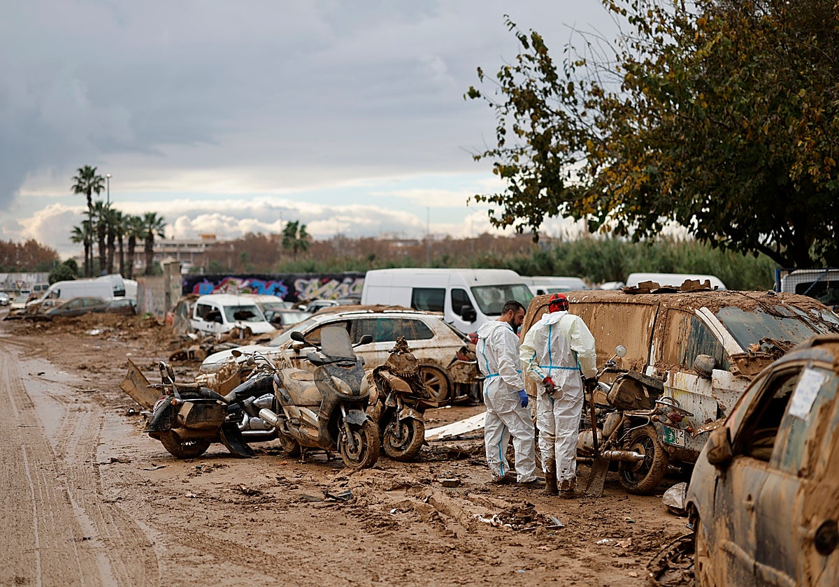 Imágenes del desastre del pasado 29 de octubre.