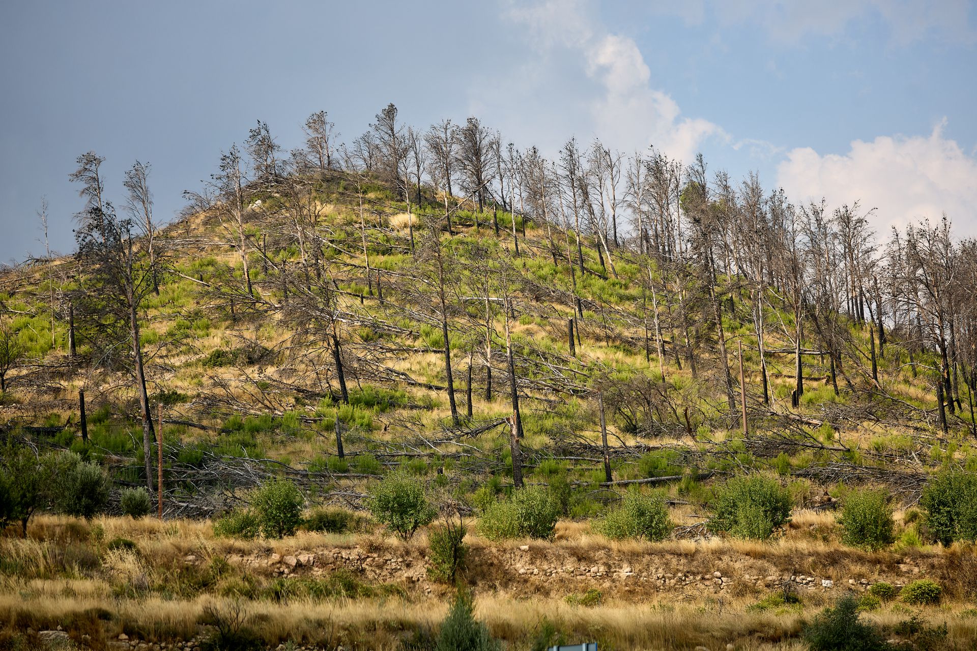 FOTOS | Así está Bejís tres años después del incendio