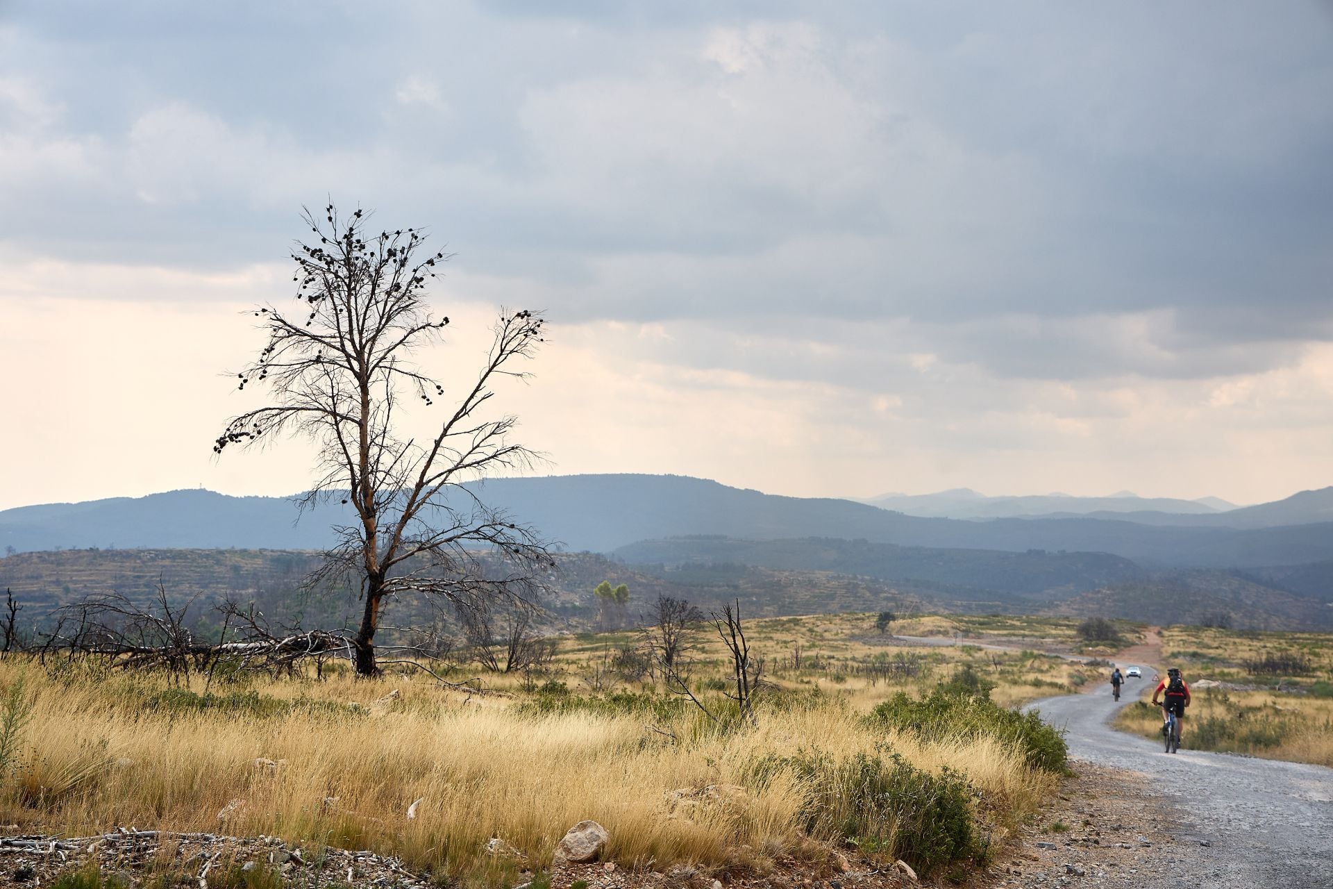 FOTOS | Así está Bejís tres años después del incendio