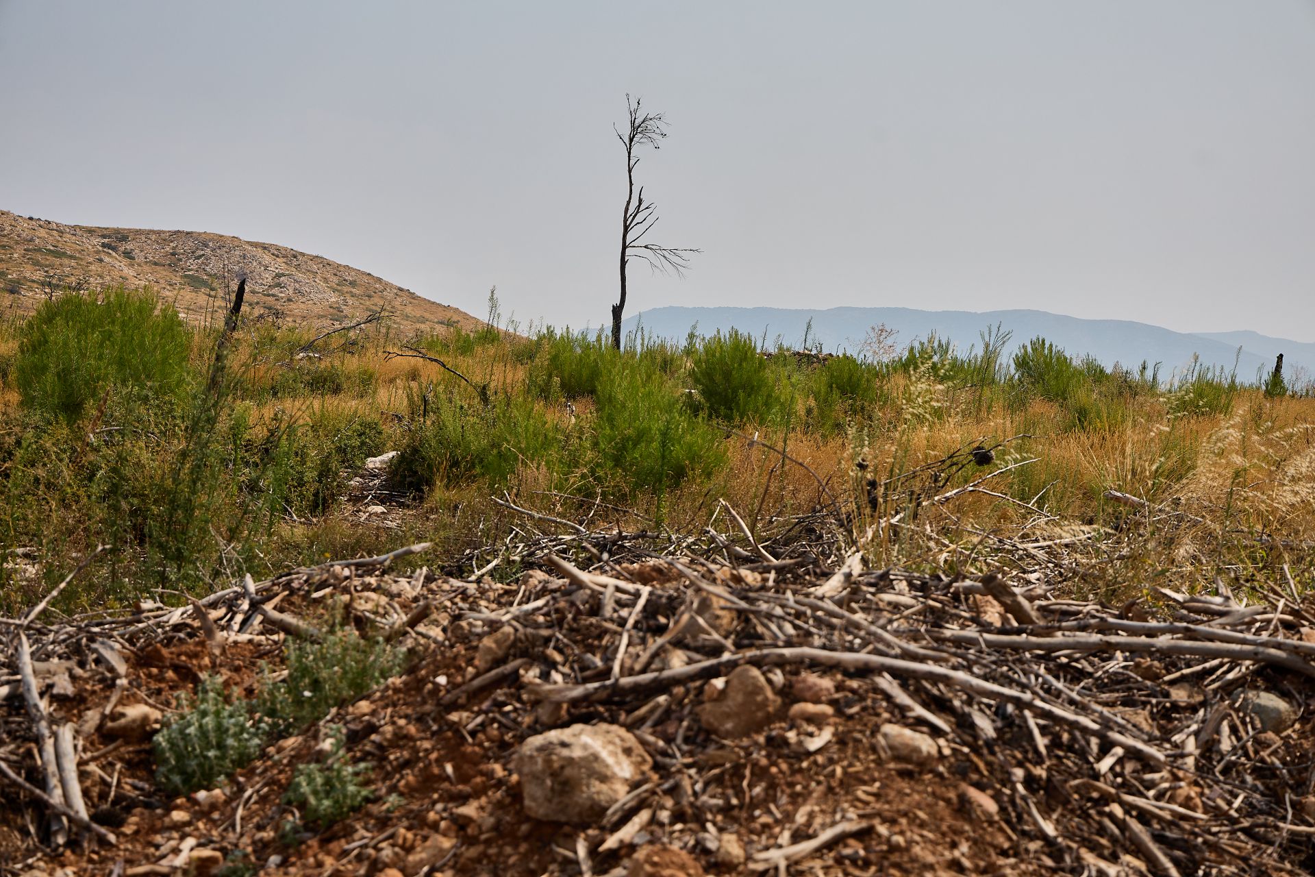 FOTOS | Así está Bejís tres años después del incendio