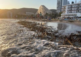«Si le molestan las cañas, póngase chanclas»