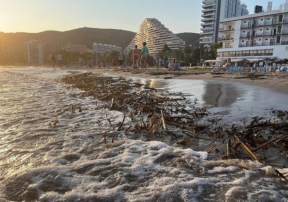 «Si le molestan las cañas, póngase chanclas»