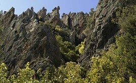 Parque natural de las Hoces del Cabriel.