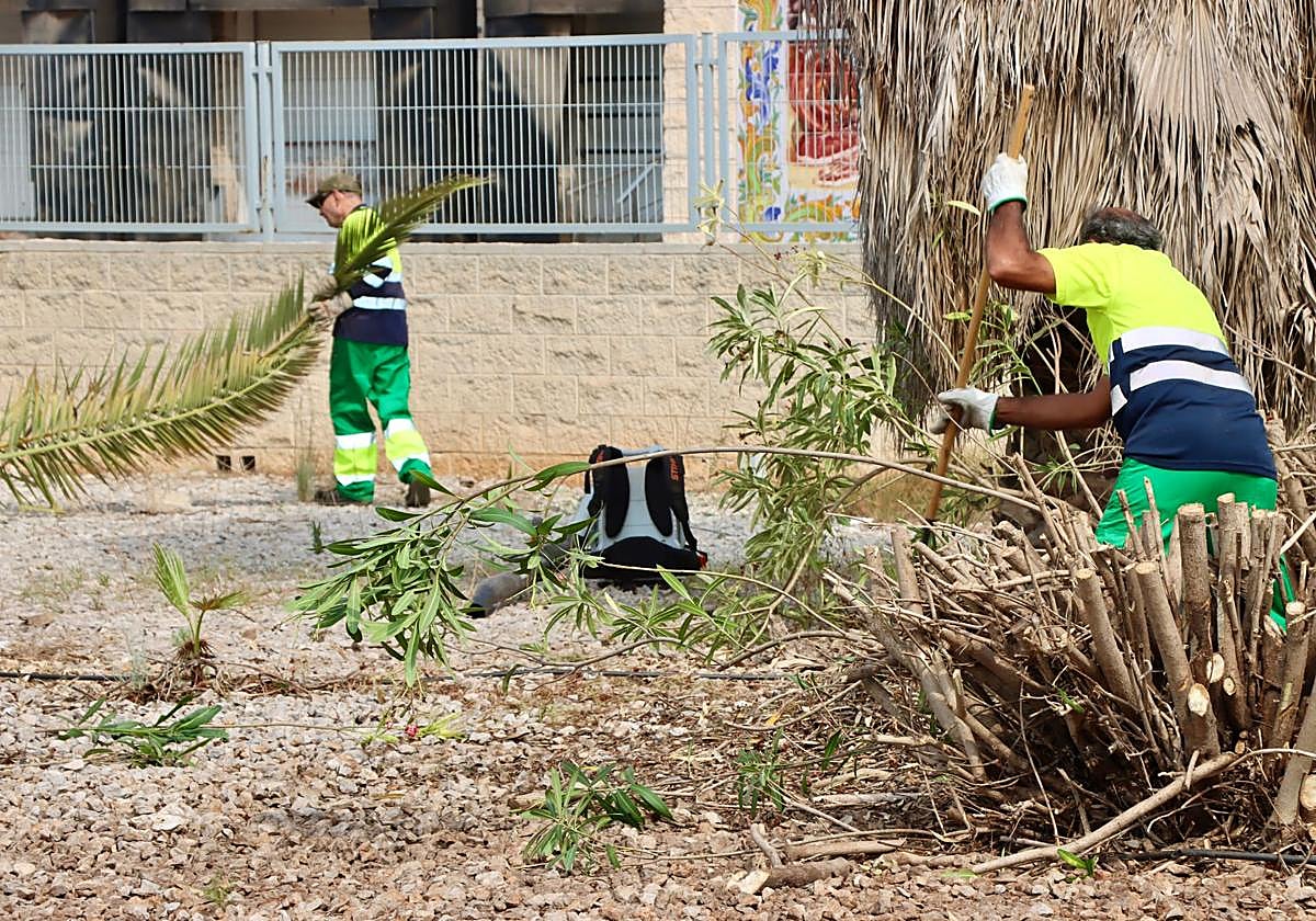 Trabajadores en Torrent.