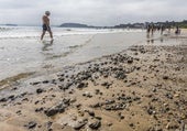 Por qué caminar por la orilla del mar no es tan beneficioso como dicen