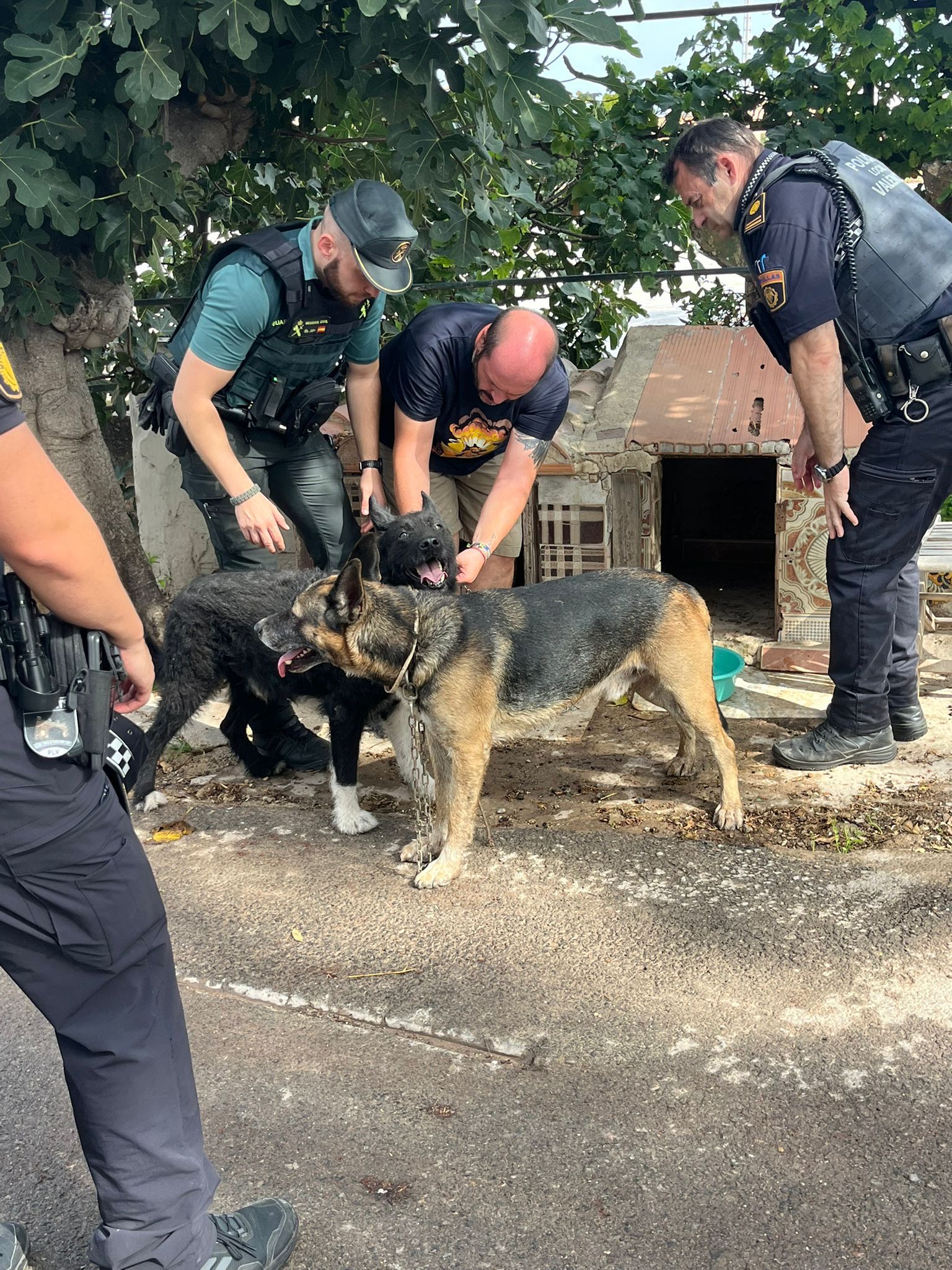FOTOS | Incendio de una alquería en Carpesa