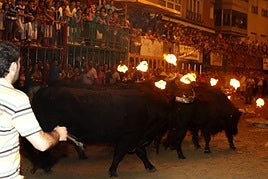Encierro de Toros Embolados, Burriana