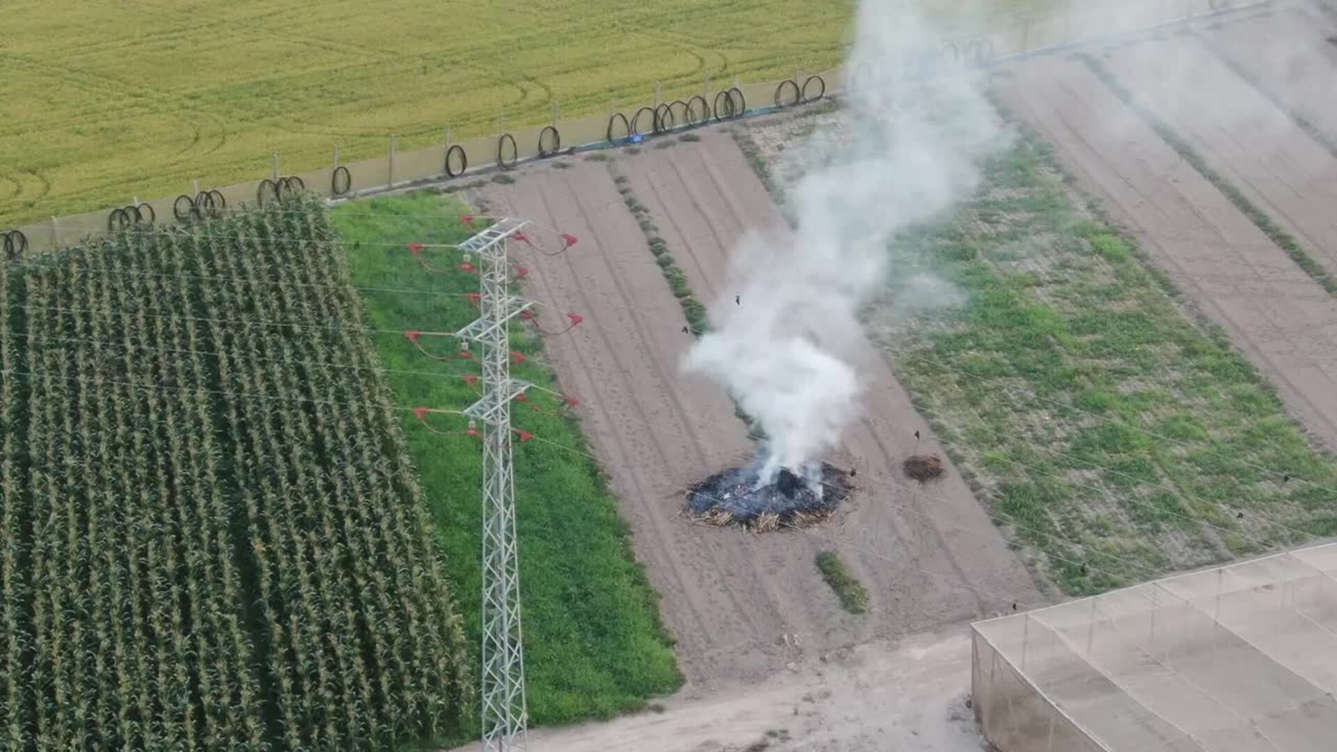 Un dron detecta una quema ilegal en El Perellonet