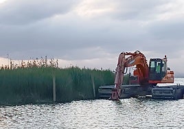Una excavadora fija estacas al islote.